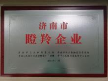 濟南市瞪羚企業(yè)